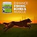 5 Billion Dog Probiotics (5oz) - 12 Strains - Most Potent Formula on the Market for Dogs Digestive & Immune Health Support (141 grams)