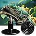 WUHOSTAM 250W Ceramic Heat Lamp,Infrared Bulb Emitter Lamp Bulb for Pet Coop Heater Reptile Chicken Lizard Turtle Brooder Bulb No Harm No Light - 24hr Heat Source - 1 Pack