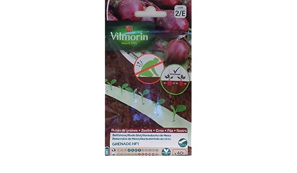 Vilmorin 2 Cintas de 40 Semillas Remolacha DE Mesa Grenade HF1 ...