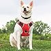 Big Dog Harness No Pull Adjustable Pet Reflective Oxford Soft Vest for Large Dogs Easy Control Harness (L, Red)