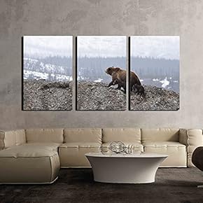 3 Piece Canvas Wall Art - Wild Bear with Two Babies in The Mountain - Modern Home Art Stretched and Framed Ready to Hang - 16"x24"x3 Panels