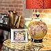 Bullseye Office Magnetic World Globe (Tan)