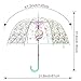 HAOCOO Unicorn Clear Umbrella, Bubble Transparent Fashion Dome Auto Open Umbrella Windproof for Outdoor Weddings (Blue)