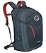 Osprey Packs Parsec Daypack, Armor Grey