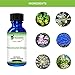 Bestmade Renecured Organic Kidney and Bladder Supplement Natural Urinary Tract and Renal Support