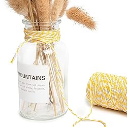 Twine String, 328 Feet Twine Rope, Twine Ribbon for