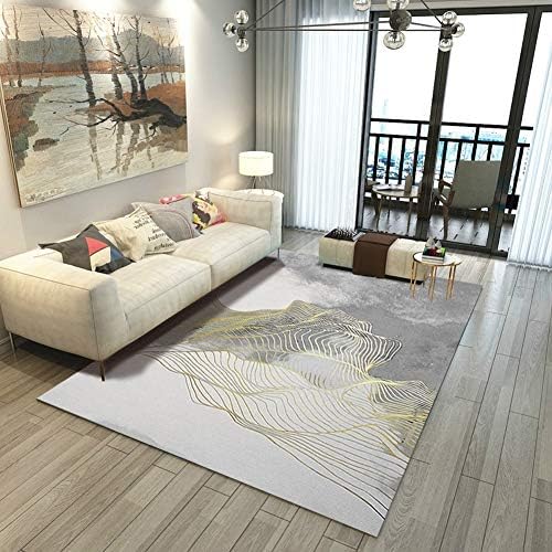 WRQQQ Multi-size Area Rugs Solid Super Soft Home Cozy Shaggy Carpet Mat Bedroom Luxurious Furry Floor Pads for Living Room,200 * 300CM