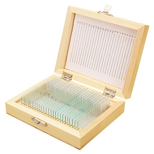 Jiusion 25Pcs Prepared Microscope Slides Set with Fitted Wooden Case, Animals Insects Plants Flowers Sample Biological Specimen, Stereo Microscope Slide for Basic Biological Science Education