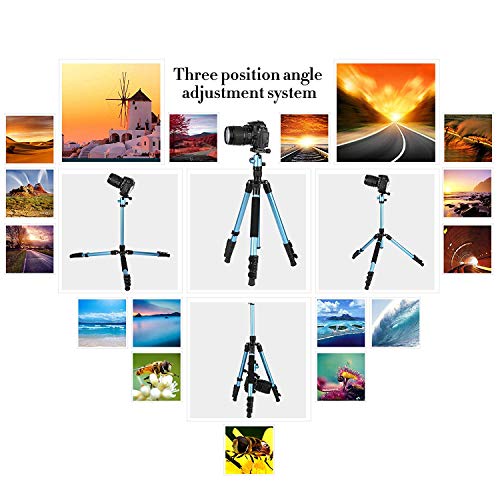 Zomei M3 Tripod Travel Monopod Lightweight Compact with 360 Degree Ball Head and Carry Bag for DSLR Canon, Nikon, Sony Camera (Blue)