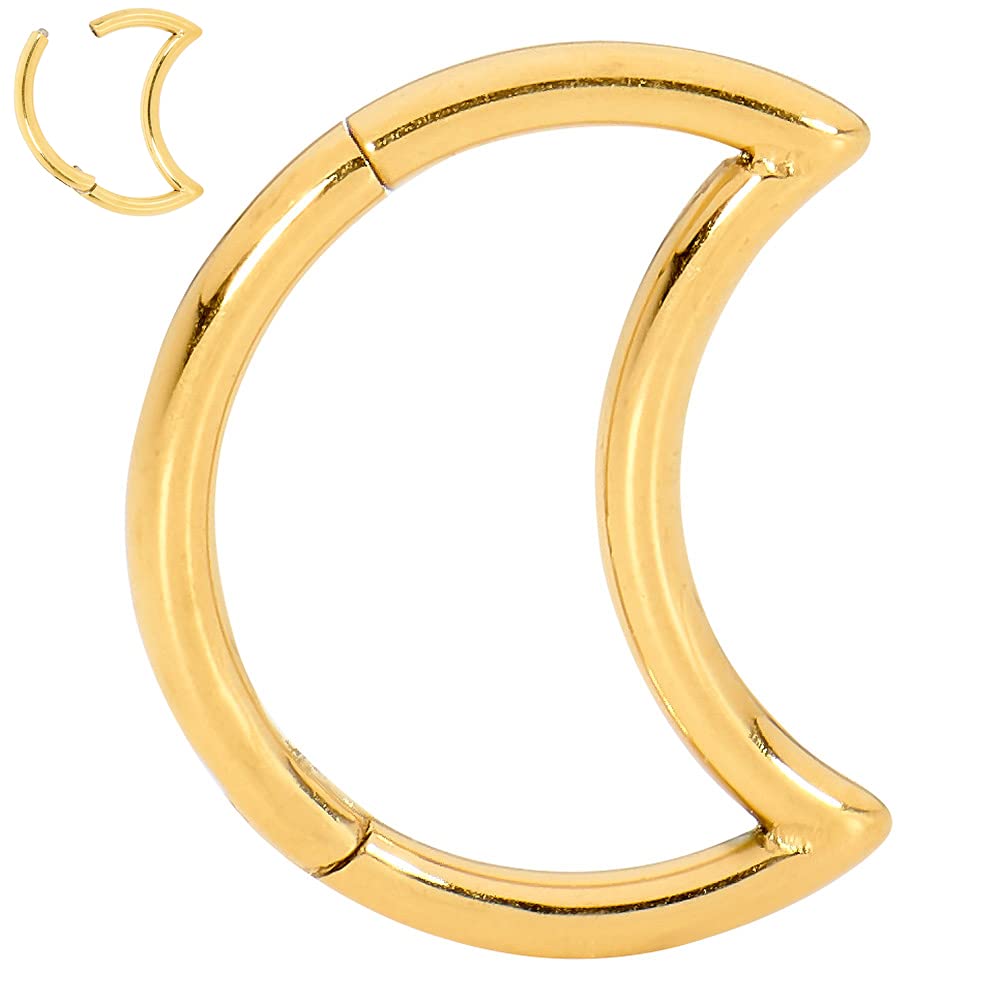 365 SLEEPERS 18G Titanium 8mm 10mm Moon Hinged Segment Ring Helix Tragus Septum Clicker Nose Lip Hoop Unisex Earring Body Piercing Jewellery (8mm)