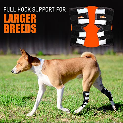 NeoAlly® Rear Leg Hock Brace, Dog Leg Brace for Rear Leg, Hock