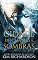 Livro A cidade de chamas e sombras (Crônicas do Horizonte Livro 3)