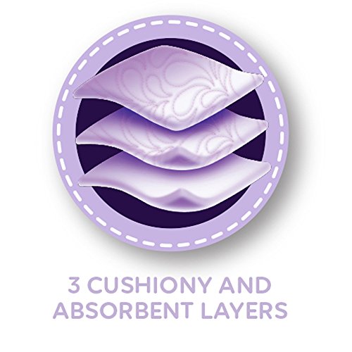 2 Quilted+Northern+Toilet+Supreme+Regular