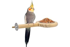 KATUMO Bird Perch Bird Feeding Cup Parrot Wood Perch Stand Toy Bird Cage Accessory for Parakeet Lovebird Conure Budgie Canary Finch Small Parrots