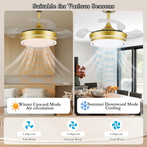 LumZeylith Ventilador de techo retráctil de 30 pulgadas con luz, RGB Modern Fandelier 6 velocidades, cuchillas reversibles, regulables, control remoto de aplicación, temporizador de memoria, dorado