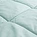 Bedsure Designs Reversible Down Alternative Comforter with Corner Ties, Twin - Mint/Tan