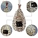Kimdio Bird House,Winter Bird House for Outside Hanging,Grass Handwoven Bird Nest,Hummingbird House,Natural Bird Hut Outdoor,Birdhouse for Kids,Songbirds House