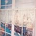 Semi-Sheer Valance for Kitchen Window - Embroidered Lace Short Valance for Kitchen, Cafe, Living Room, Door Decoration, 17 x 59 Inch, White, ZHH
