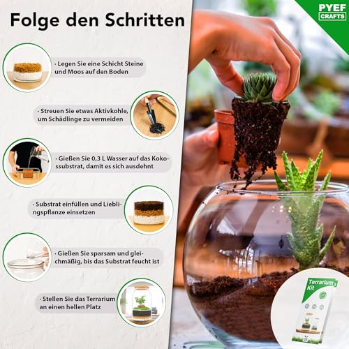 PYEF CRAFTS Bottle Garden Complete Set XL for Ecosystem in Glass - 4L Terrarium Plants for Biotope in Glass - Biosphere Terrarium Set - Kit Without Plant (Bottle Garden Large 4L)