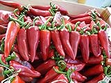 Basque Piment De Espelette Heirloom Spanish Pepper
