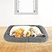 lesypet Cat Beds for Indoor Cats, 15