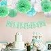NICROLANDEE Cactus Baby Shower Decoration Mint Green Tissue Pom Poms Eyelet Paper Lantern White Hanging Honeycomb Ball Watercolor Party Banner Fiesta Baby Shower 1st Birthday Cactus Party Decorations
