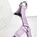 Blueberry Pet Essentials Step-in Dog Harness, Large Size | Adjustable Lavender Vest | Classic Solid Nylon for Boy & Girl Dogs, Chest Girth 26