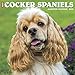 Just Cocker Spaniels 2020 Wall Calendar (Dog Breed Calendar) by 