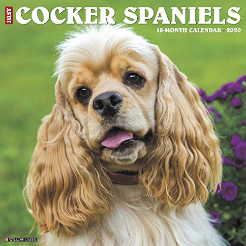 Just Cocker Spaniels 2020 Wall Calendar (Dog Breed Calendar) by Willow Creek Press