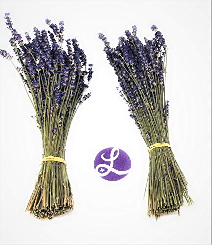 Findlavender Lavender Bundles 14" - 16" Long, 100% Natural Dried Lavender, for Home Decoration, for Home Fragrance, for Any Event, 2 Bundle Pack