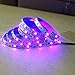 AMARS Black LED Lights Strip for Decoration, DC12V 24W 5050 SMD 2M/6.6FT 390nm-405nm Flexible Blacklights Fixture