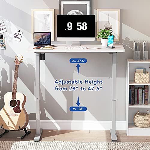 FLEXISPOT EC1 Essential Electric Standing Desk 48 x 30 Inches