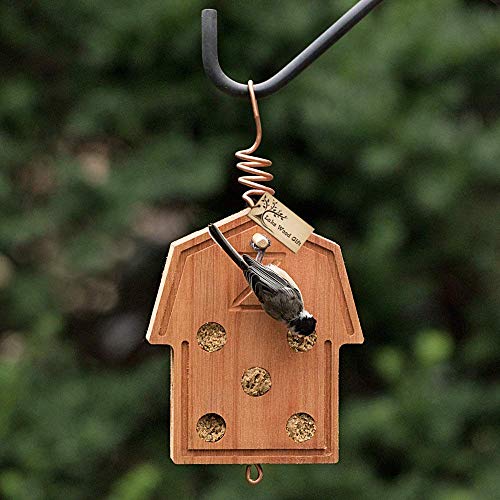 LakeWoodGift Includes Suet Country Barn Best Homemade Hanging Bird Suet Feeder Includes Suet and Wooden Seed Bucket for Wild Birds garden lover seed bucket outdoor good quality eucalyptus wood - Thumbnail 4