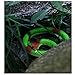 Halloween Rubber Rainforest Snakes - 5 Pack - 27 Inches - Snake Toys For Children, Gag toys, Prank, Prop, Gardens, Party Favors, Halloween & Decorations