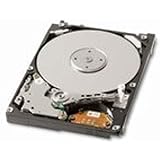 Toshiba MK3276GSX 320 GB Internal Hard Drive (MK3276GSX)