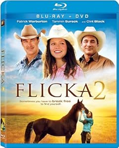 Cover Image for 'Flicka 2'