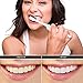 Bamboo Active Charcoal Toothpaste, Highest quality ingredients, Natural Bamboo Charcoal, Enamel-safe, Achieve professional-level teeth whitening (Mint Flavor)