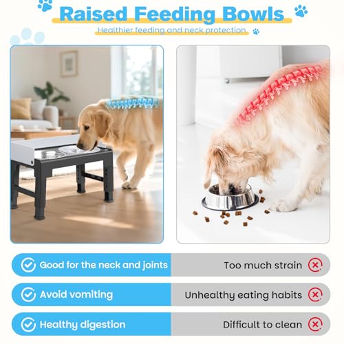 Zivacate Adjustable Raised Dog Bowls with 6 Heights and Inclined Angle with 2 Stainless Steel Bowls and 1 Slow Feeding Bowl for Small Medium Large Dogs