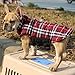 REXSONN Pet Dog cats Cozy Windproof Jacket Winter Warm Apparel Grid Plaid Reversible Coat Coats for small Puppy medium large dogs