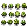 WWWL Creatieve kaars 12 Stks 3D Cactus Kaars Gesimuleerde Plant Set Woondecoratie Valentijnsdag Rose Bloem Theelicht…