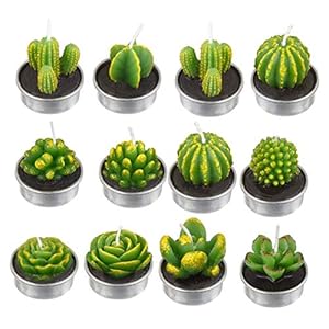 WWWL Creatieve kaars 12 Stks 3D Cactus Kaars Gesimuleerde Plant Set Woondecoratie Valentijnsdag Rose Bloem Theelicht…