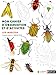 Mon cahier d'observation et d'activités : Les insectes by