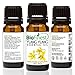 BioFinest Ylang Ylang Oil - 100% Pure Ylang Ylang Essential Oil - Premium Organic - Therapeutic Grade - Aromatherapy - Boost Energy/Heart - Help Reduce Stress/Anxiety - FREE E-Book (10ml)