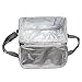 Cooler Insulated Bag/ Handbag/ Lunch Bag Mini/ Picnic Cooler Bag/ Insulated Lunch Bag for Office/School/Picnic,With Shoulder Strap