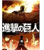 Attack On Titan Japan Anime Nice Silk Fabric Cloth Wall Poster Print (36x24inch)