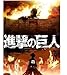 Attack On Titan Japan Anime Nice Silk Fabric Cloth Wall Poster Print (36x24inch)