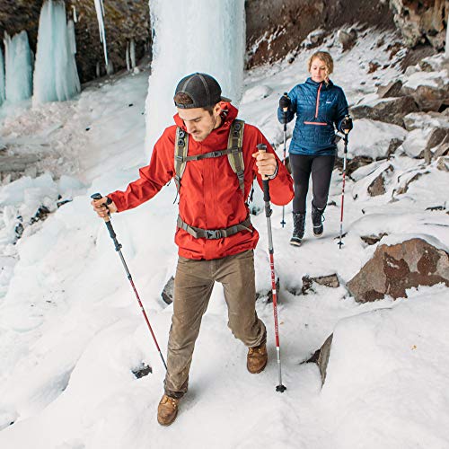 Paria Outdoor Products Tri-Fold Carbon Cork Trekking Poles/Sticks - Folding, Collapsible, Adjustable, and Ultralight - Perfect for Hiking, Walking, Backpacking and Snowshoeing (100-120 cm)