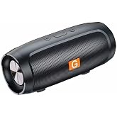 GOTFLYO Bluetooth Speaker, Portable Wireless Speaker for Family/Party/Outdoor/Beach, Electronics, Birthday Gifts, for Friends, Family (Black), GTO-5
