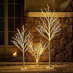 LITBLOOM Lighted White Birch Twig Branches 30IN 150