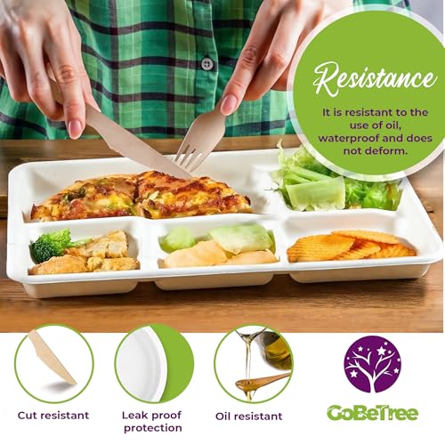 GoBeTree 100 x 26cm Disposable Plates with 5 Compartments Sugarcane Plates Heavy Duty Disposable Tableware White